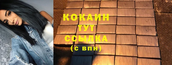 дживик Абинск