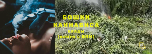 бошки Алексин